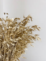 ELIOR » Mazzo di Avena selvatica essiccata oro - Bloomoon