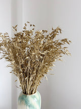 ELIOR » Mazzo di Avena selvatica essiccata oro - Bloomoon
