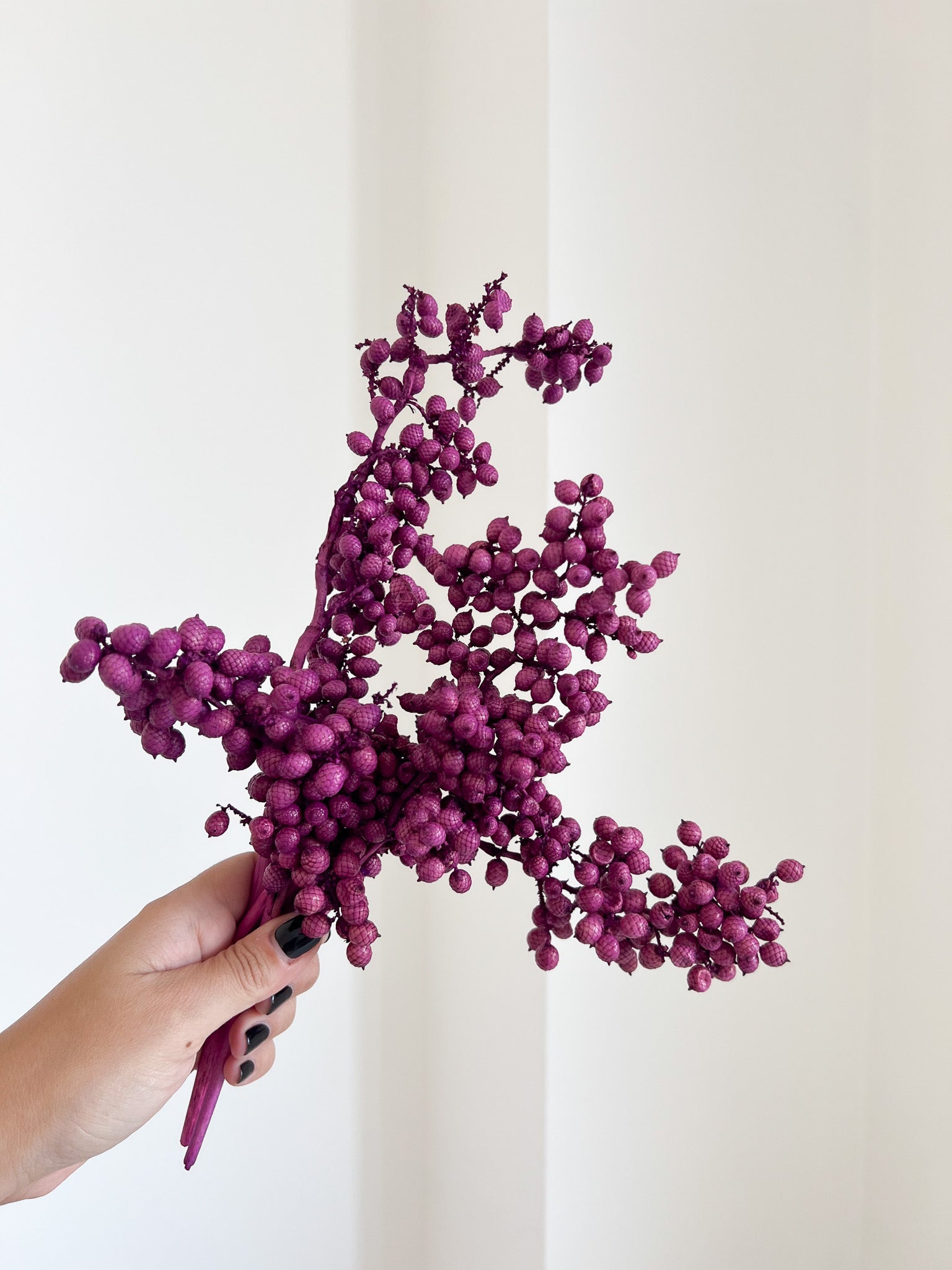 ERCOLINA » Fascio di bacche viola naturali essiccate - Bloomoon