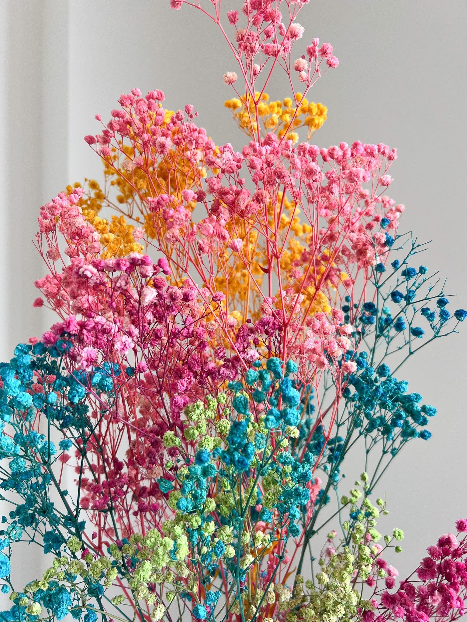 ERMETE » Mazzo di Gypsophila o nebbiolina stabilizzata multicolor - Bloomoon