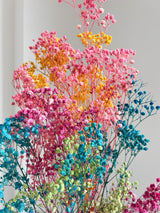 ERMETE » Mazzo di Gypsophila o nebbiolina stabilizzata multicolor - Bloomoon