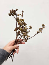 ERSILIA » Bacche di Eucalipto essiccate H25cm - Bloomoon