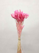 EUDORA » Mazzo di Lagurus fucsia pastello - Bloomoon