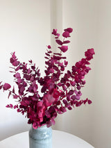 EUGENIA » Mazzo di Eucalipto Stuartiana stabilizzato rosa scuro - Bloomoon