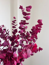 EUGENIA » Mazzo di Eucalipto Stuartiana stabilizzato rosa scuro - Bloomoon