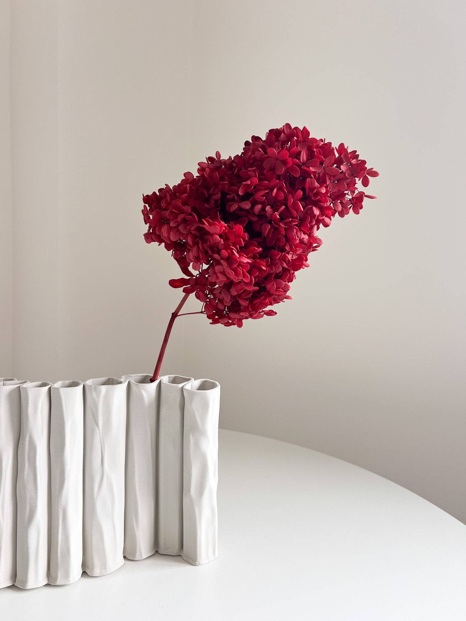 EVANDRO » Ortensia stabilizzata Paniculata Limelight stelo lungo rossa - Bloomoon
