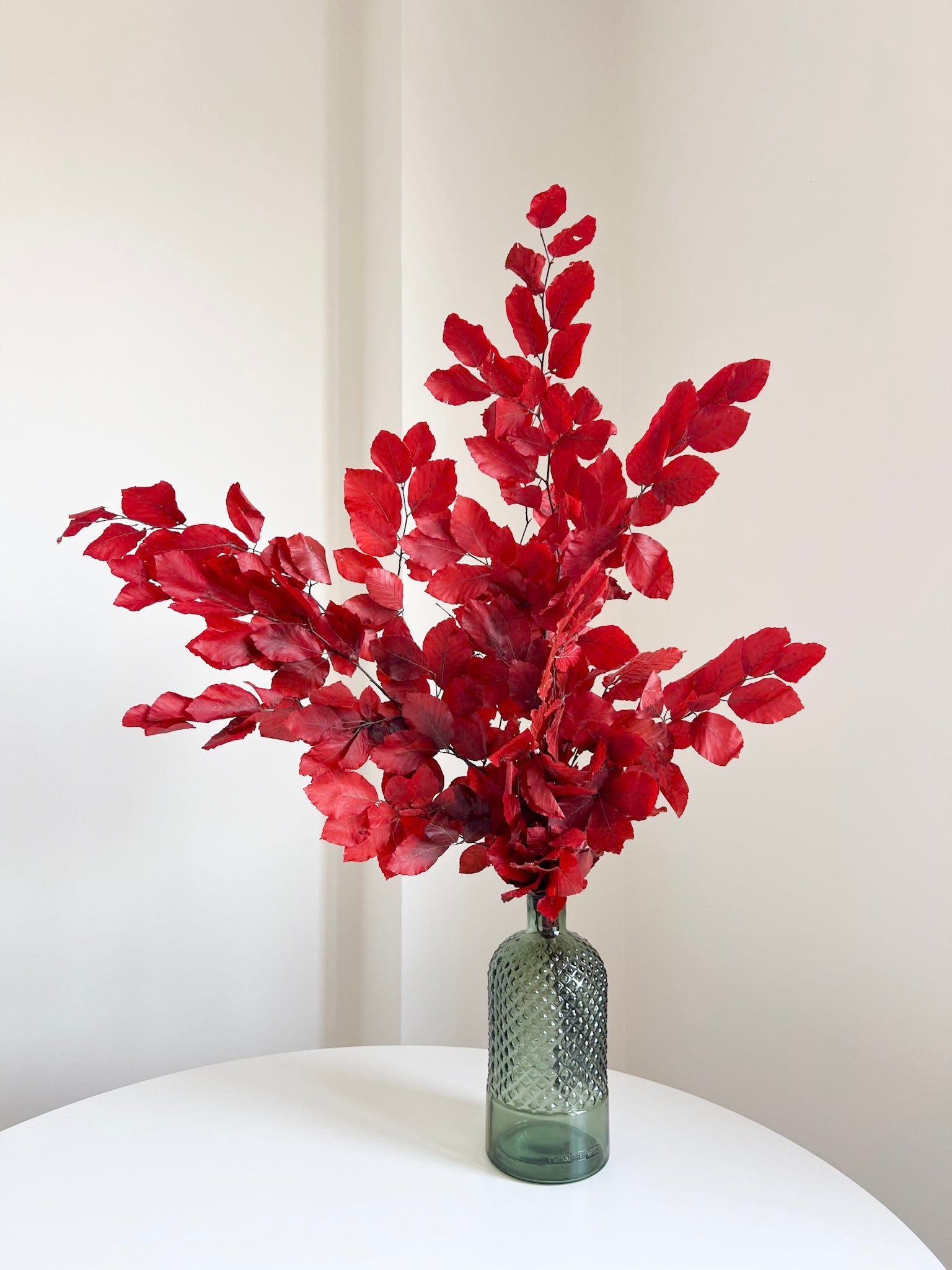FAYA » Mazzo di Faggio stabilizzato rosso - Bloomoon