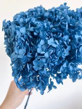FERUZA » Ortensia stabilizzata Annabelle stelo lungo blu - Bloomoon