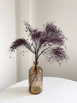 FESTER » Dream Grass stabilizzata viola - Bloomoon