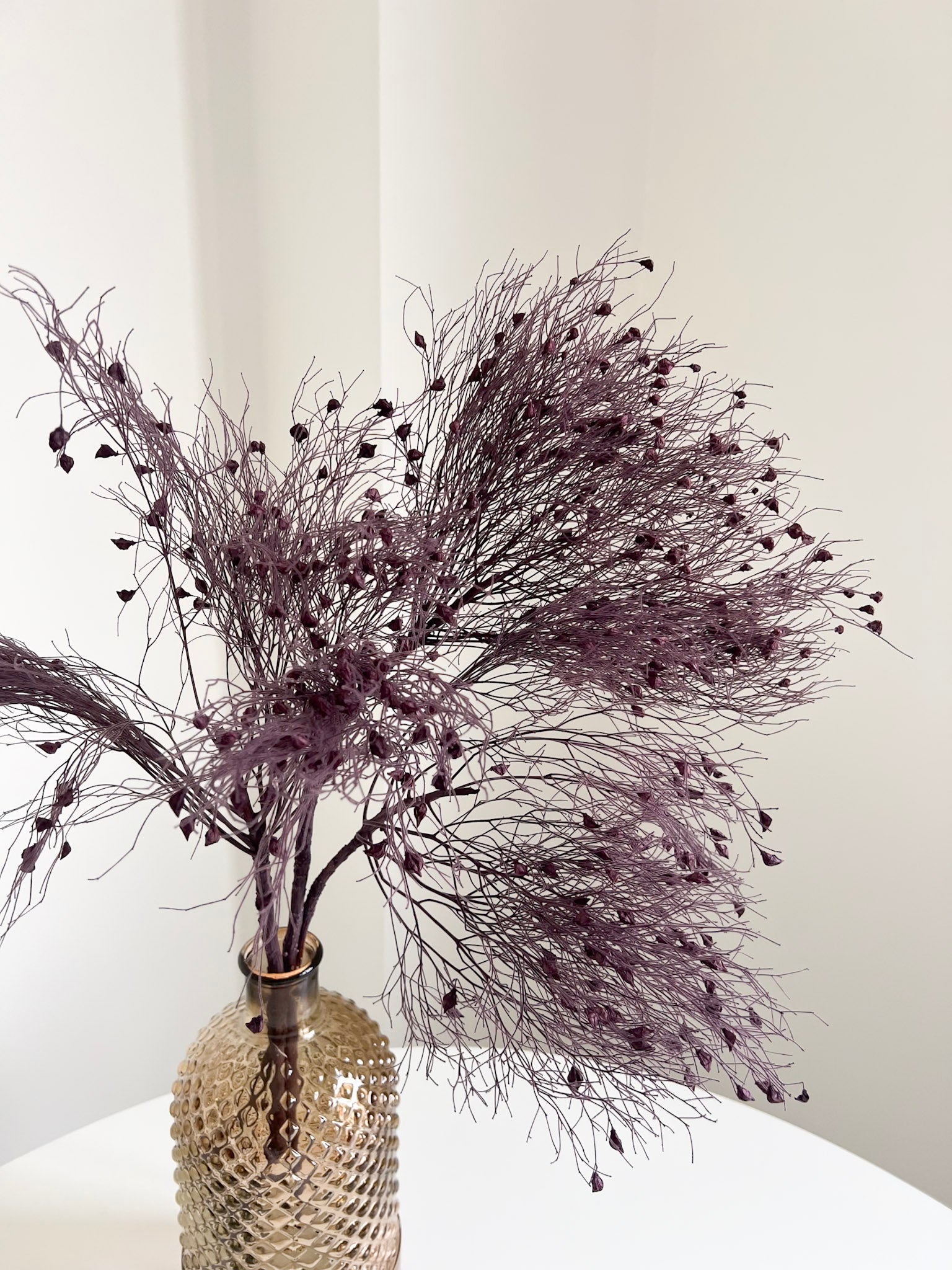FESTER » Dream Grass stabilizzata viola - Bloomoon
