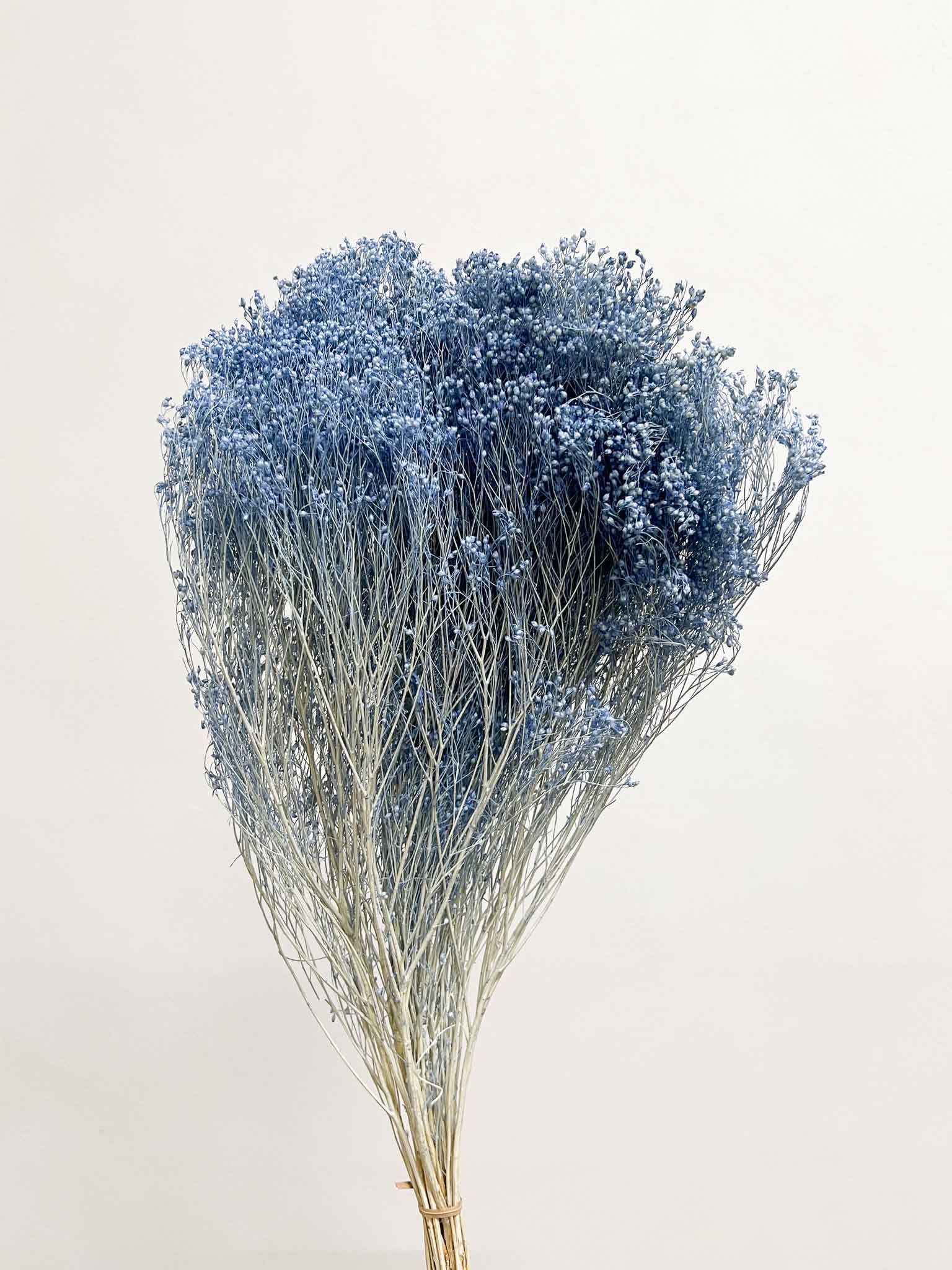 VINCENZO » Powder blue Broom Bloom bouquet