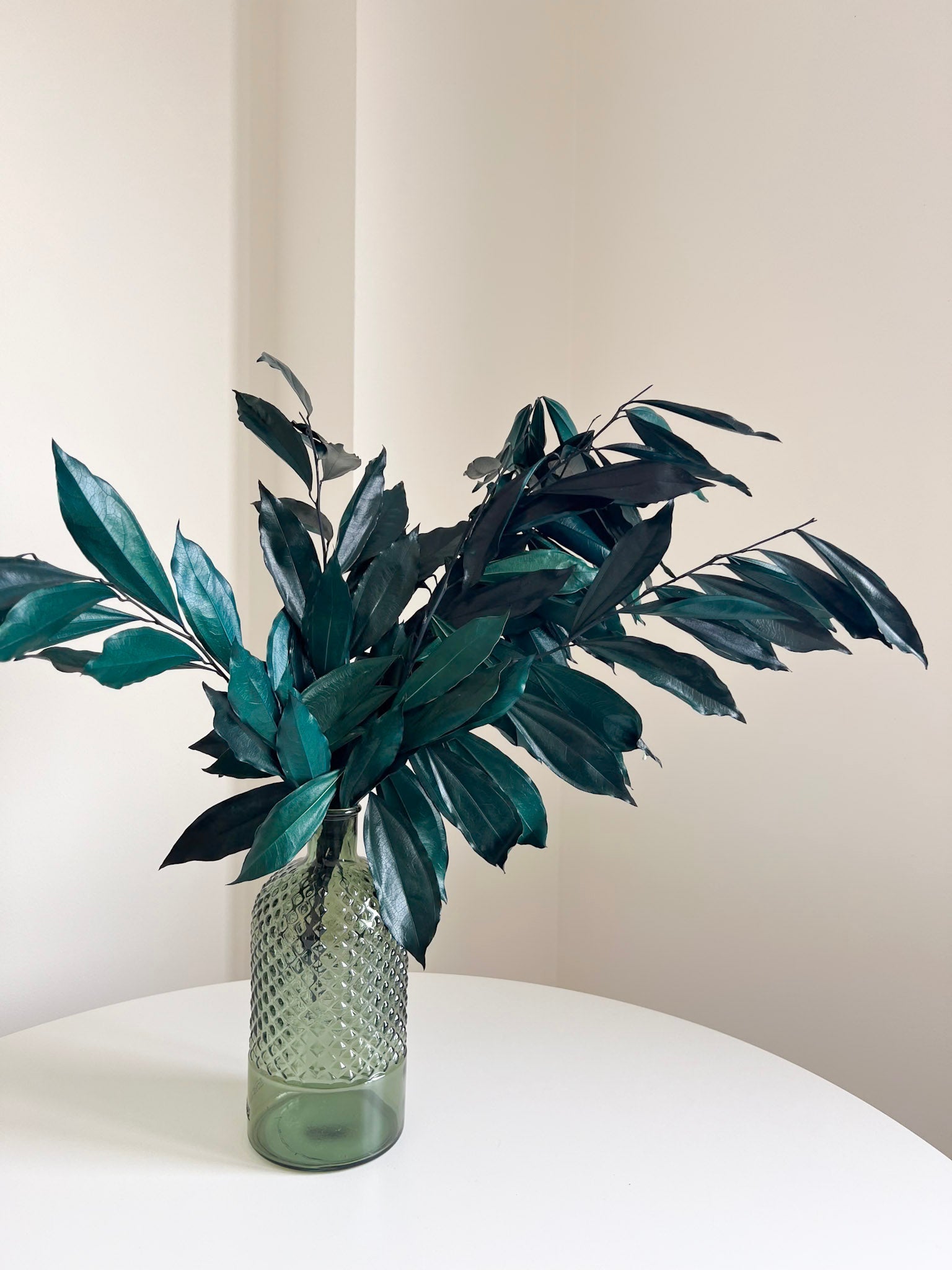 FLORIO » Cocculus stabilizzato verde/blu H70cm - Bloomoon
