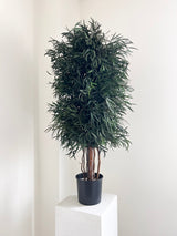 FOREST » pianta stabilizzata di eucalipto nicoli verde H130cm - Bloomoon