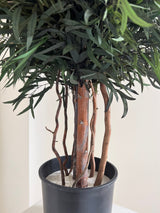 FOREST » pianta stabilizzata di eucalipto nicoli verde H130cm - Bloomoon