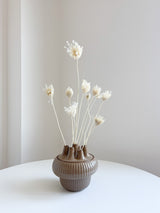 FROZEN » Mazzo di Ammi Majus bianco - Bloomoon