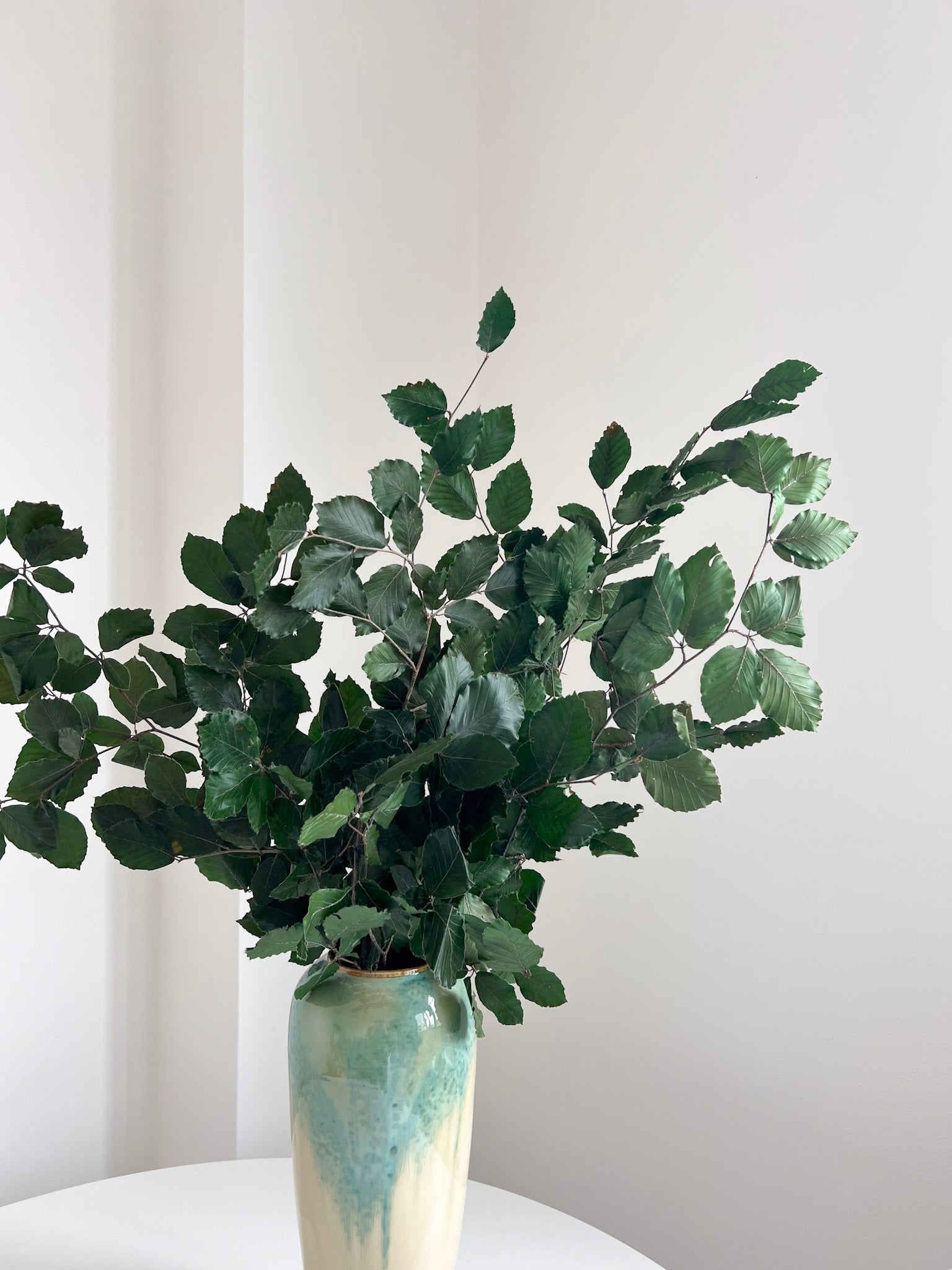 FRUSETTA » Mazzo di Faggio stabilizzato verde - Bloomoon