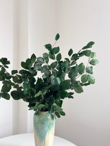 FRUSETTA » Mazzo di Faggio stabilizzato verde - Bloomoon