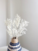GERMANO » Ruscus stabilizzato bianco - Bloomoon