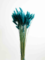 GIONA » Mazzo di Lagurus colorato ottanio - Bloomoon