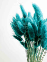 GIONA » Mazzo di Lagurus colorato ottanio - Bloomoon