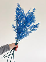GIULIO » Ruscus stabilizzato azzurro - Bloomoon
