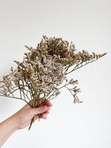 GOFFREDO » Tartarica naturale essiccata - Bloomoon