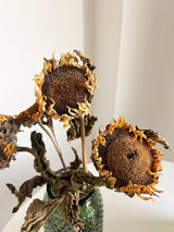 GREGORIO » Mazzo di girasoli essiccati naturali 65cm - Bloomoon