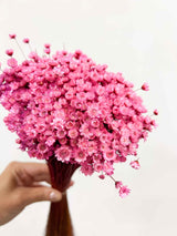 GRETA » Mazzo di fiori di Glixia fucsia - Bloomoon