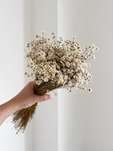 ILARIA » Mazzo di fiori di Glixia naturale - Bloomoon