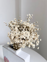 ILARIA » Mazzo di fiori di Glixia naturale - Bloomoon