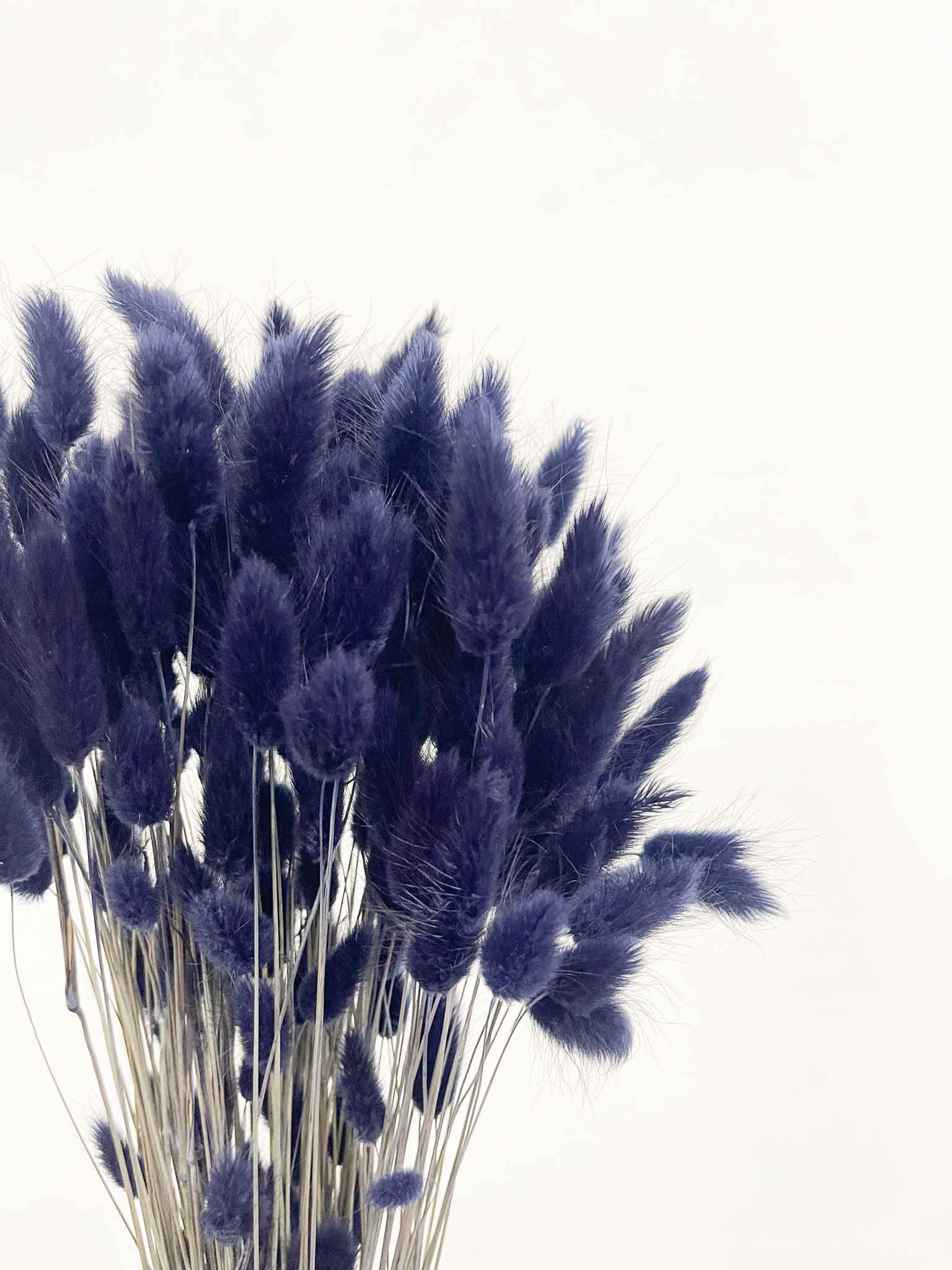 ISMAEL » Mazzo di Lagurus blu notte - Bloomoon
