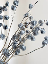 JASPER » Mazzo di Physalis celeste polvere - Bloomoon