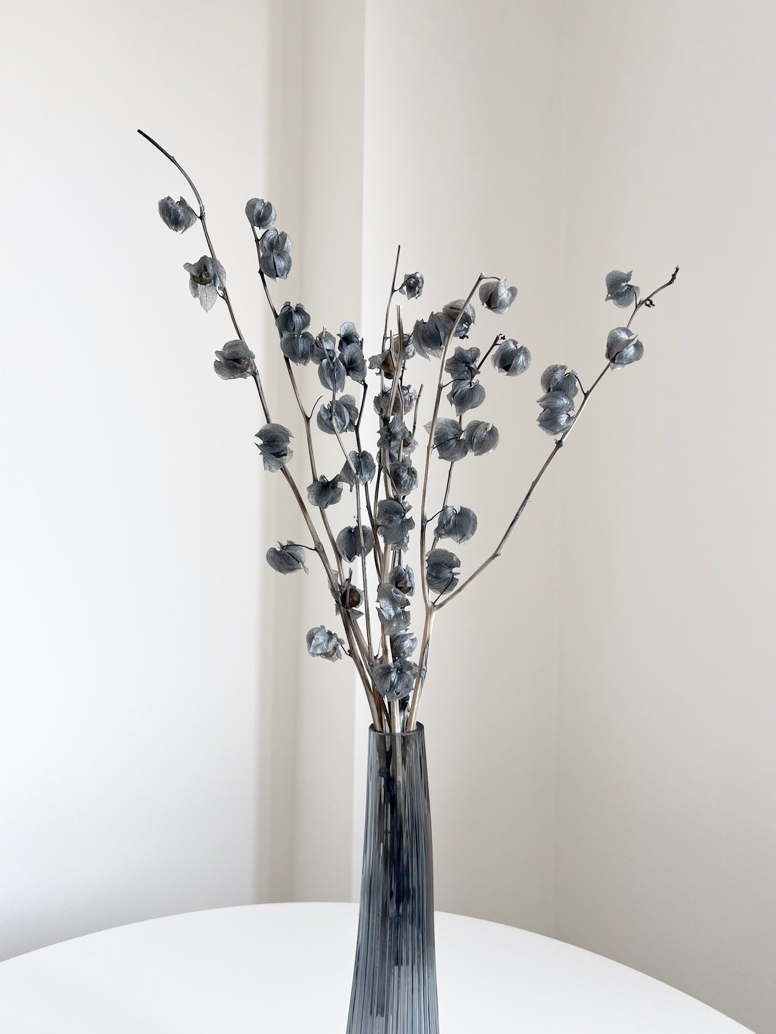 JASPER » Mazzo di Physalis celeste polvere - Bloomoon