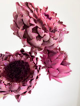 KIRA » 3 Carciofi grandi essiccati fucsia - Bloomoon