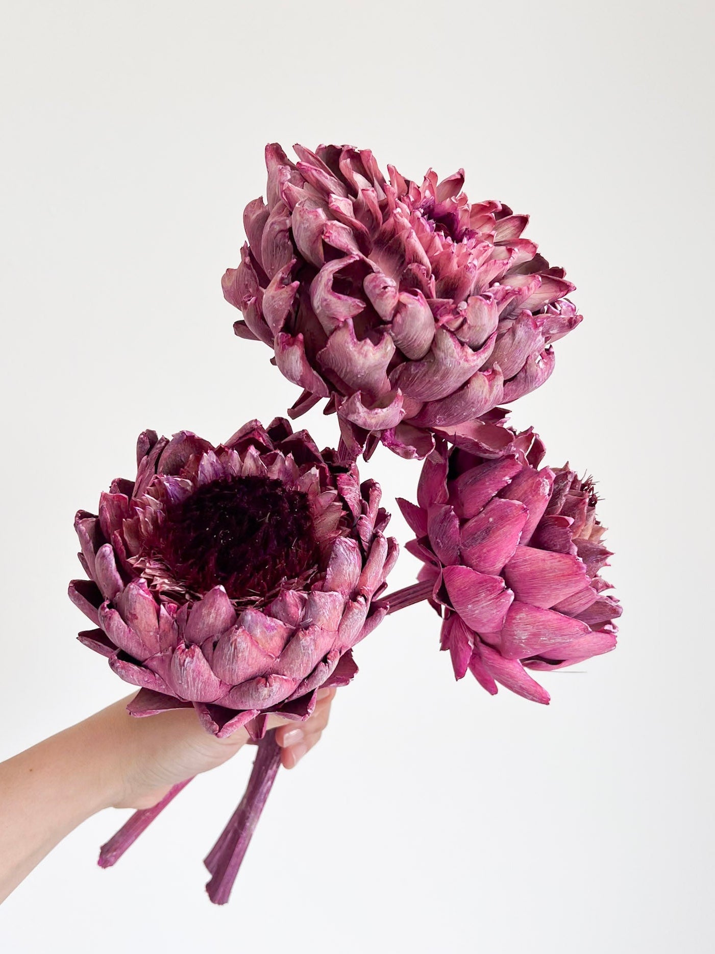 KIRA » 3 Carciofi grandi essiccati fucsia - Bloomoon