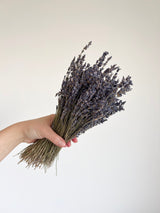LAURA » Lavanda naturale - Bloomoon