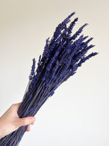 LAURETTA » Lavanda stabilizzata - Bloomoon