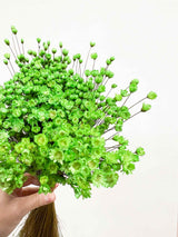 LICIA » Mazzo di fiori di Glixia verde - Bloomoon