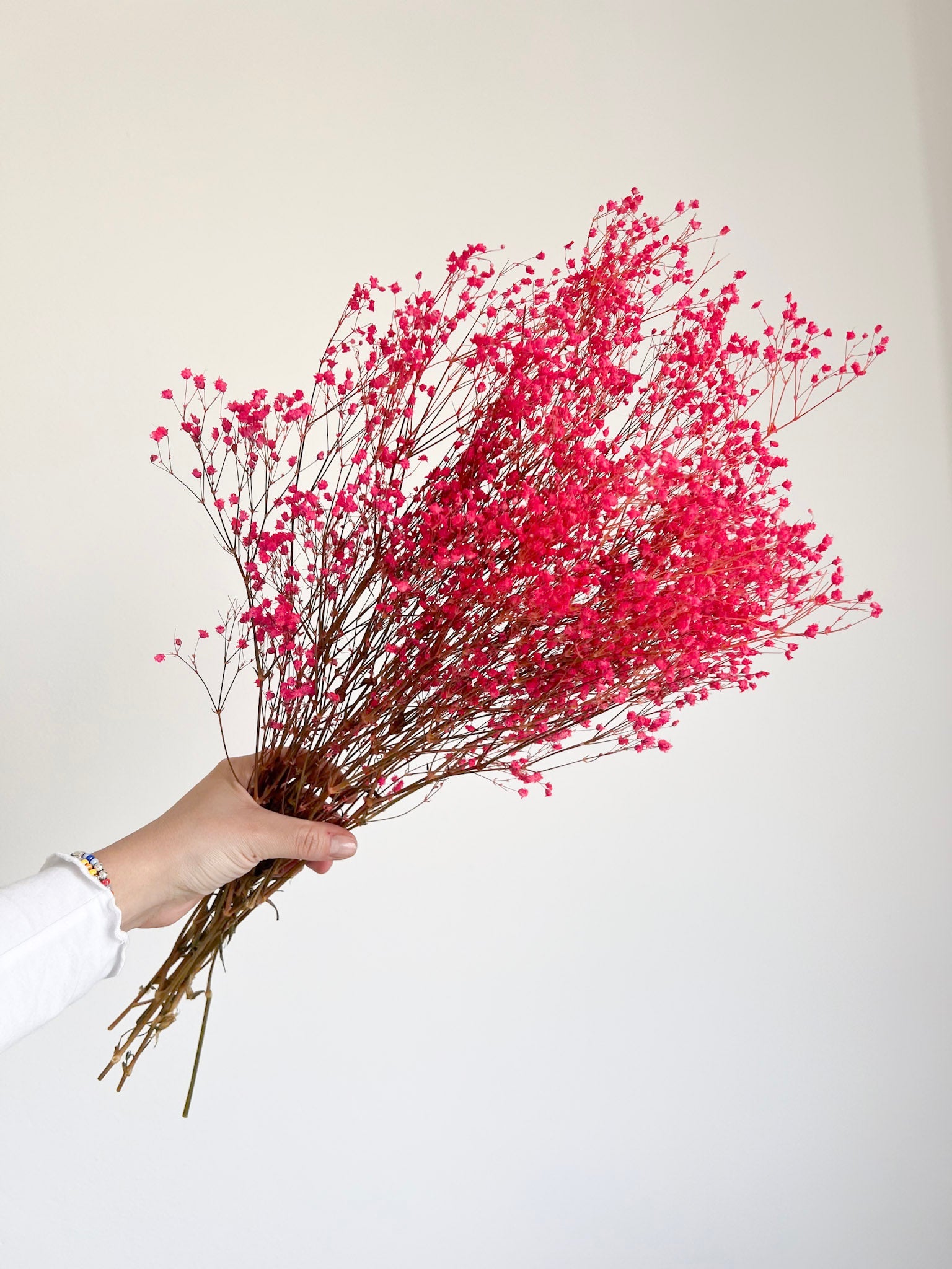 LOLITA » Mazzo di Gypsophila stabilizzata fucsia - Bloomoon