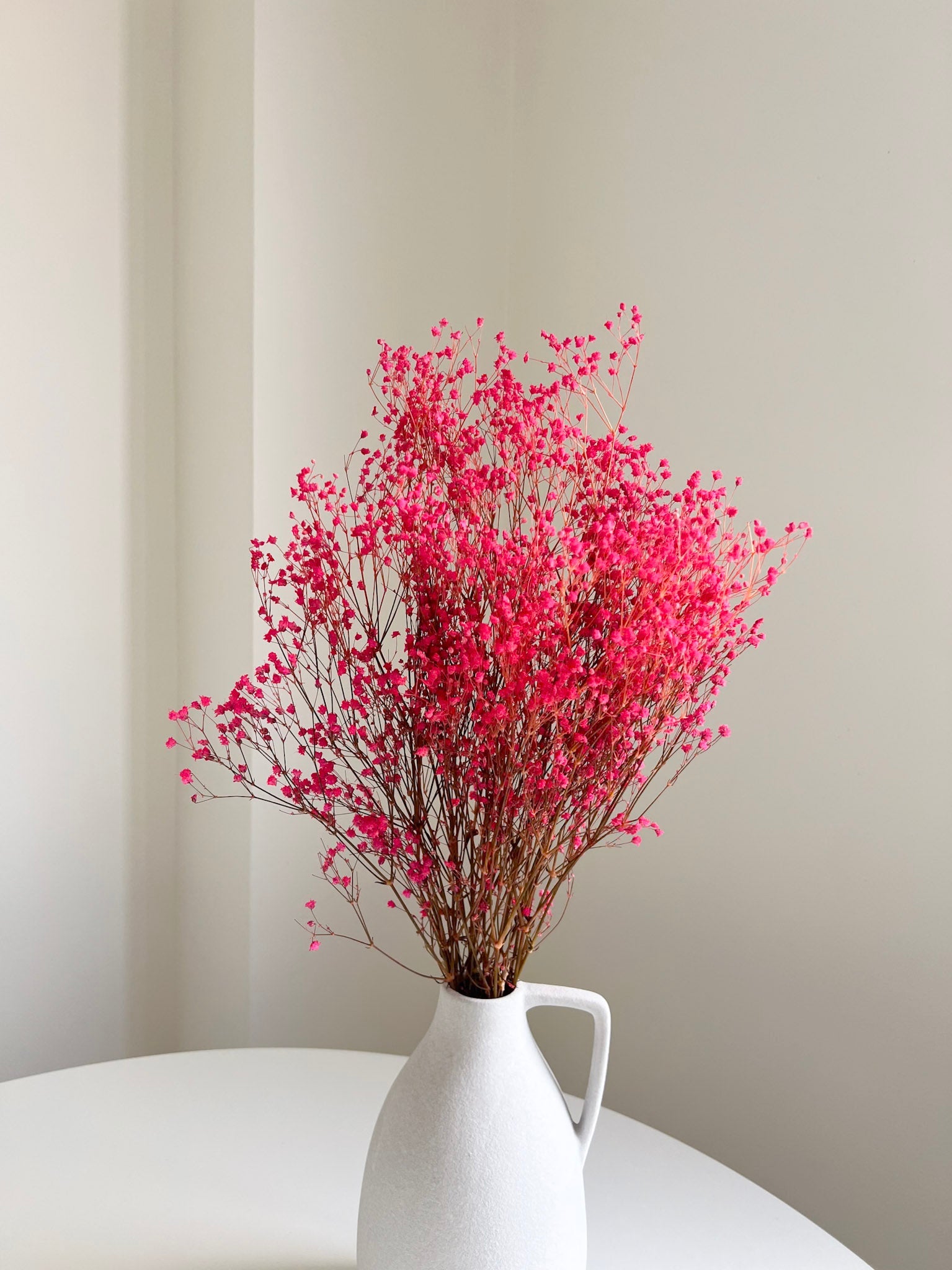 LOLITA » Mazzo di Gypsophila stabilizzata fucsia - Bloomoon