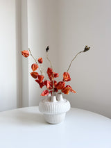 LOLYSSIA » Vaso tulipier moderno di ceramica bianco H20,5 cm - Bloomoon
