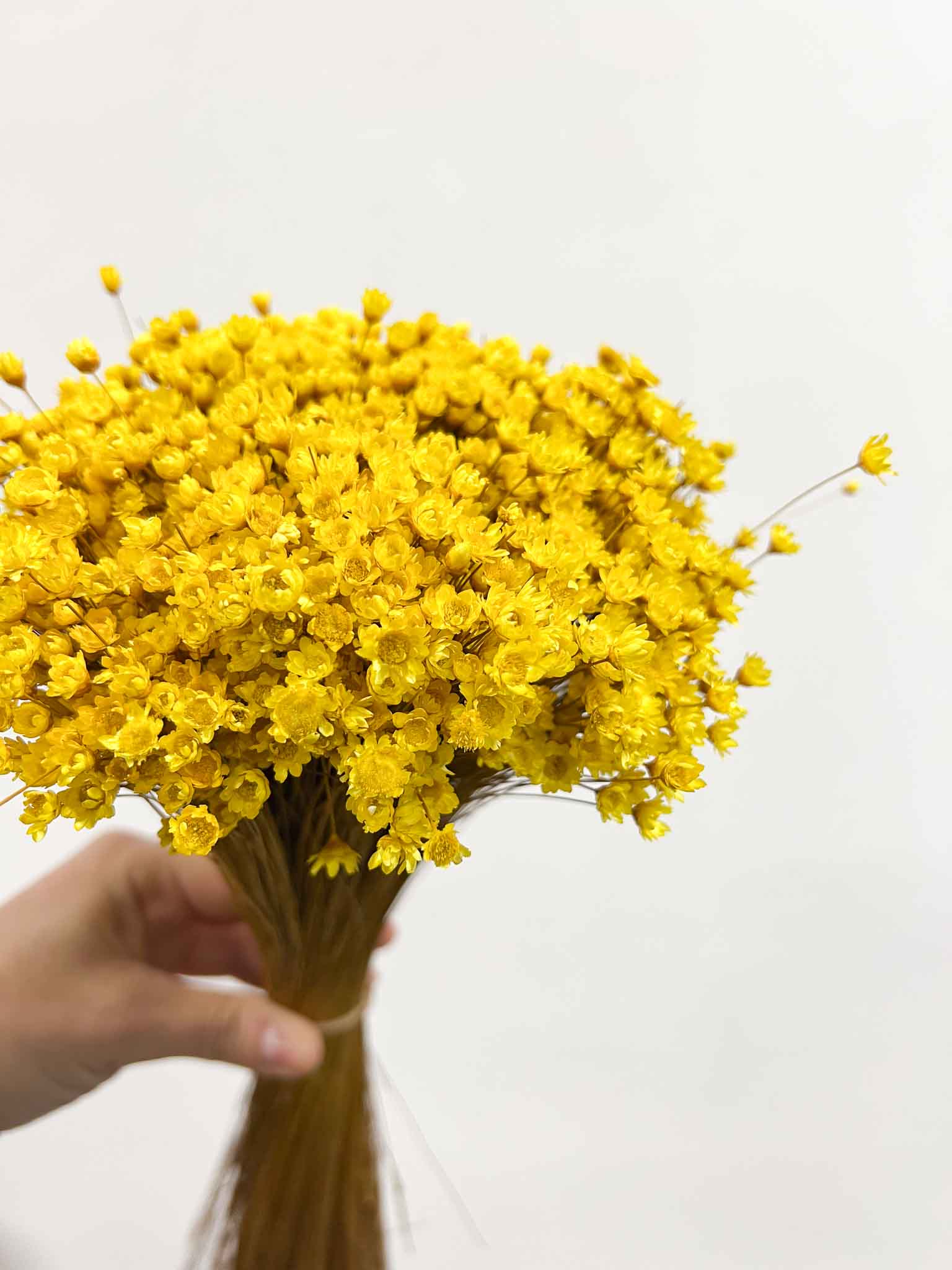 MAGGIE » Mazzo di fiori di Glixia giallo - Bloomoon