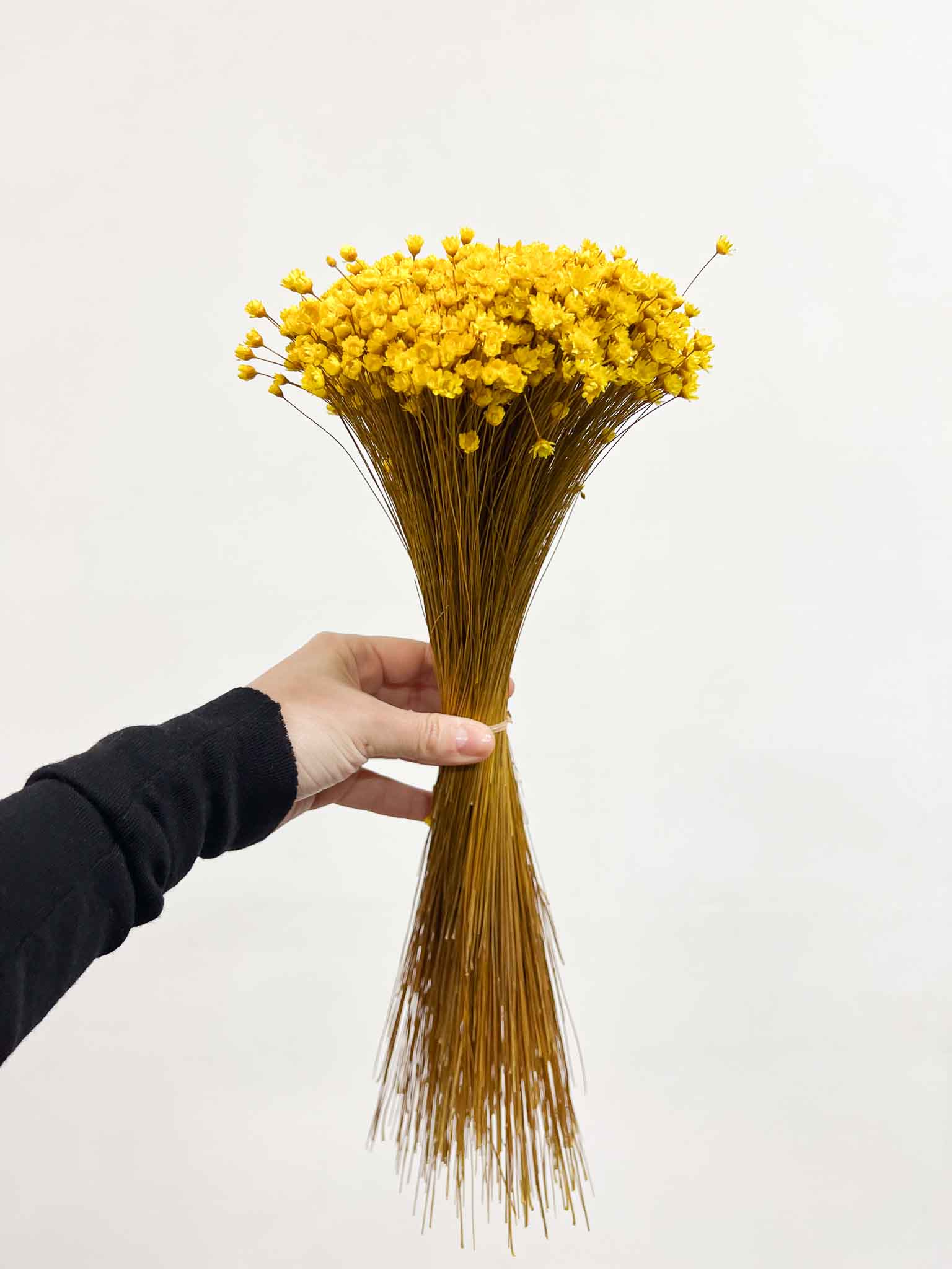 MAGGIE » Mazzo di fiori di Glixia giallo - Bloomoon