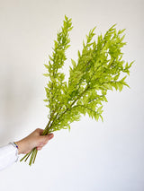 MALIKA » Ruscus stabilizzato verde lime chiaro - Bloomoon