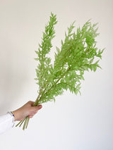 MALIKA » Ruscus stabilizzato verde lime chiaro - Bloomoon