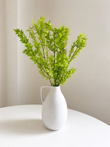 MALIKA » Ruscus stabilizzato verde lime chiaro - Bloomoon