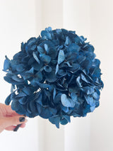 MARCELLA » Ortensia stabilizzata blu - Bloomoon