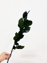 MARICONDO » stelo di rosa stabilizzato verde H65cm - Bloomoon
