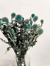 MARISTELLA » Mazzo di Echinops stabilizzato petrolio - Bloomoon