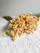 MELANIA » Mazzo di fiori di Hill Flower crema - Bloomoon